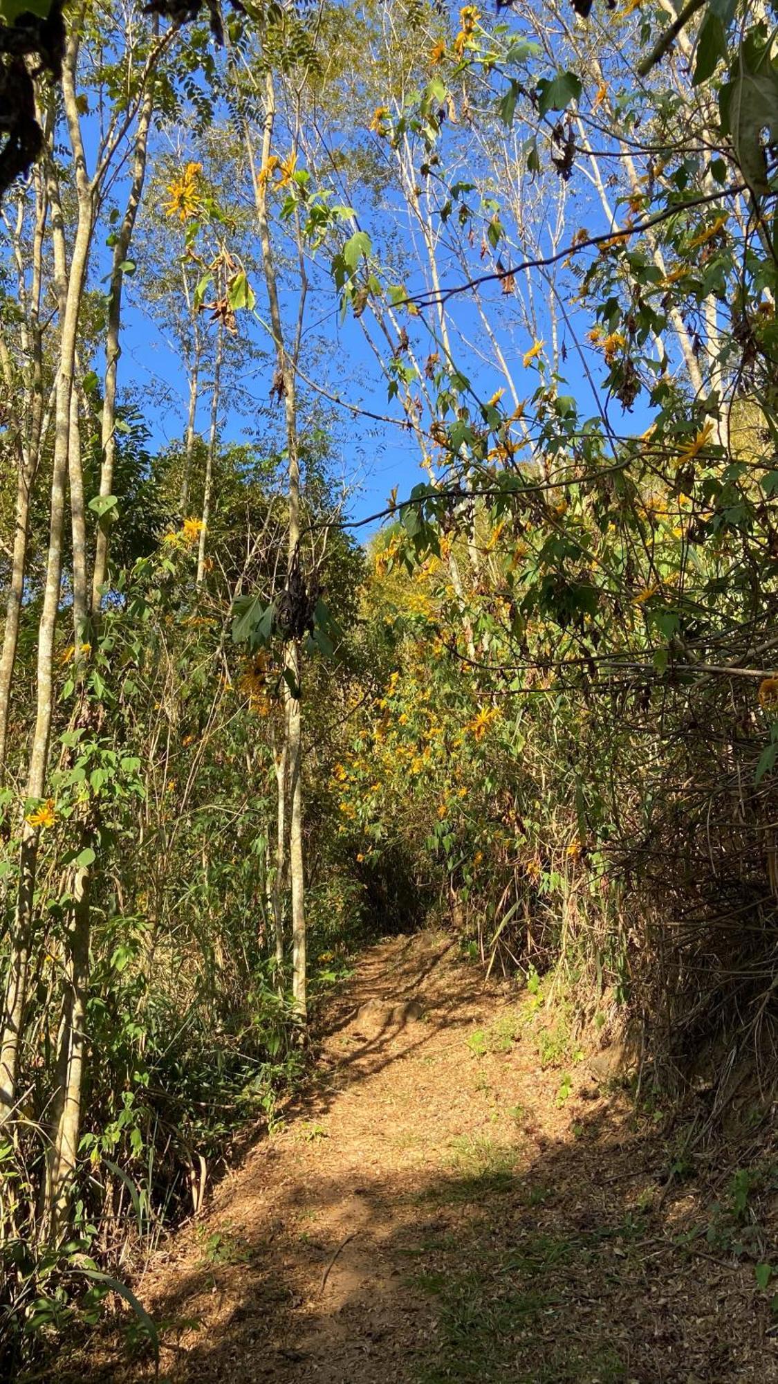 Chale Laranja - Sitio Caldeirao Villa Posse  Luaran gambar